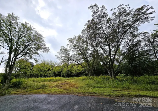 3rd image of 00 Southmont Rd, Iron Station, NC 28080 | MLS# 4307176