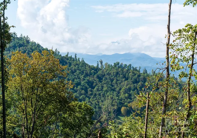 Homes for sale in Sylva, NC | 00 E Cope Creek Rd, Sylva, NC 28779 | MLS# 4307186
