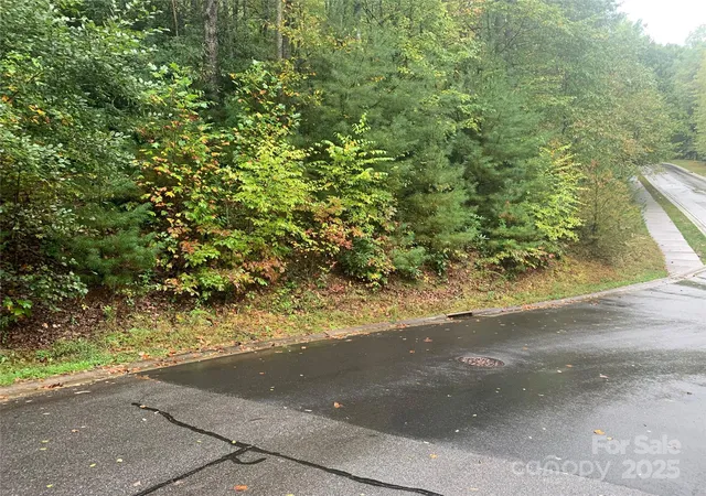 Photo 1 of Land for sale at 208 Settings Blvd #248, Black Mountain, NC 28711 | MLS# 4307392 | Listing updated on 2025-10-01