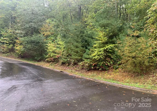 Photo 2 of Land for sale at 208 Settings Blvd #248, Black Mountain, NC 28711 | MLS# 4307392 | Listing updated on 2025-10-01
