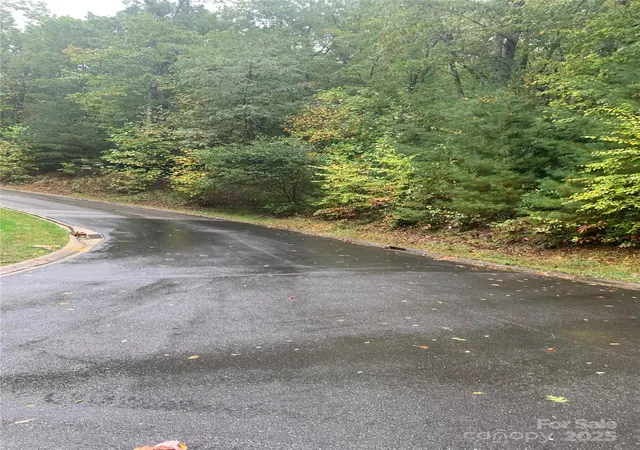 Photo 3 of Land for sale at 208 Settings Blvd #248, Black Mountain, NC 28711 | MLS# 4307392 | Listing updated on 2025-10-01