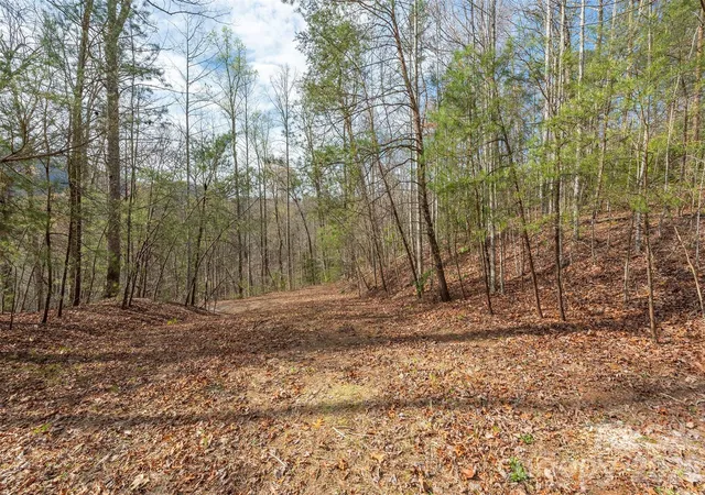 4th image of 99999 Trillium Ln #7, Lake Lure, NC 28746 | MLS# 4307439