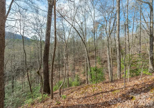 5th image of 99999 Trillium Ln #7, Lake Lure, NC 28746 | MLS# 4307439
