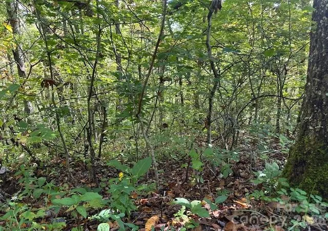 Photo 1 of Land for sale at H16 H17 Shady Grove Rd, Tuckasegee, NC 28783 | MLS# 4307995 | Listing updated on 2026-09-30