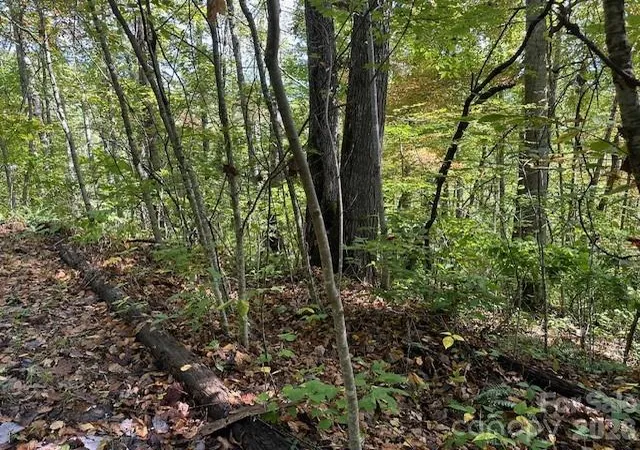 Photo 2 of Land for sale at H16 H17 Shady Grove Rd, Tuckasegee, NC 28783 | MLS# 4307995 | Listing updated on 2026-09-30