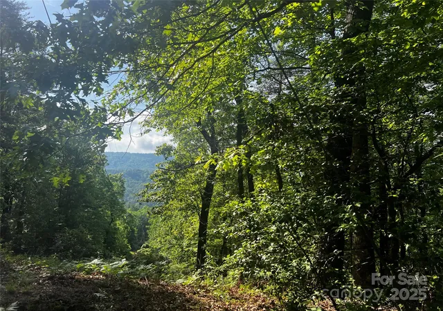 Photo 3 of Land for sale at Lot 14R Arrowhead Rdg #14 Revised, Brevard, NC 28712 | MLS# 4308030 | Listing updated on 2025-10-09