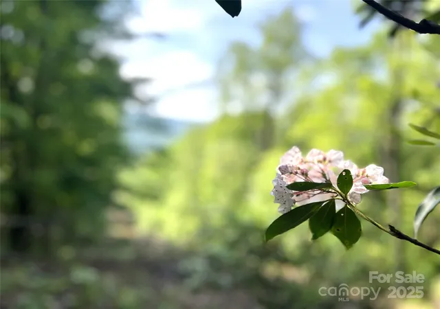 Photo 5 of Land for sale at Lot 14R Arrowhead Rdg #14 Revised, Brevard, NC 28712 | MLS# 4308030 | Listing updated on 2025-10-09