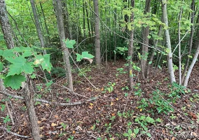 Photo 3 of Land for sale at 105 Crossvine Trl #15, Hendersonville, NC 28739 | MLS# 4308053 | Listing updated on 2026-09-25