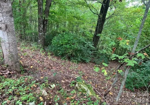 Photo 3 of Land for sale at 105 Crossvine Trl #15, Hendersonville, NC 28739 | MLS# 4308053 | Listing updated on 2026-10-13