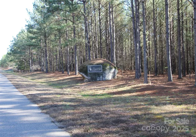 Photo 4 of Land for sale at Tbd Crossings Ct #88, Lilesville, NC 28091 | MLS# 4308104 | Listing updated on 2026-09-23