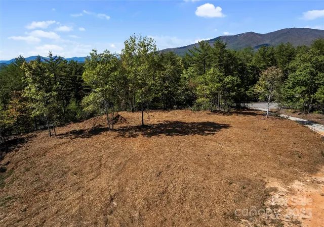 2nd image of 9028 Shortoff View Ter, Nebo, NC 28761 | MLS# 4308227