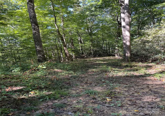 2nd image of 0 Empress Ln, Hendersonville, NC 28792 | MLS# 4308579