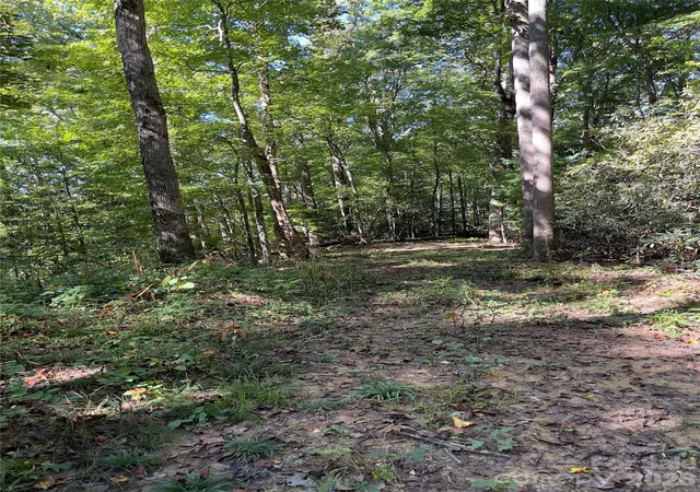 Photo 3 of Land for sale at 0 Empress Ln, Hendersonville, NC 28792 | MLS# 4308579 | Listing updated on 2026-10-09