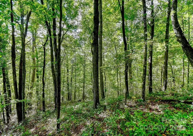 2nd image of 99999 Brook Dr, Black Mountain, NC 28711 | MLS# 4308742