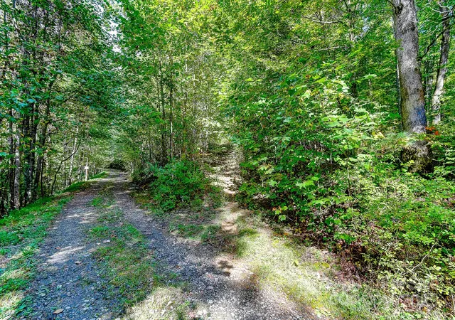 3rd image of 99999 Brook Dr, Black Mountain, NC 28711 | MLS# 4308742