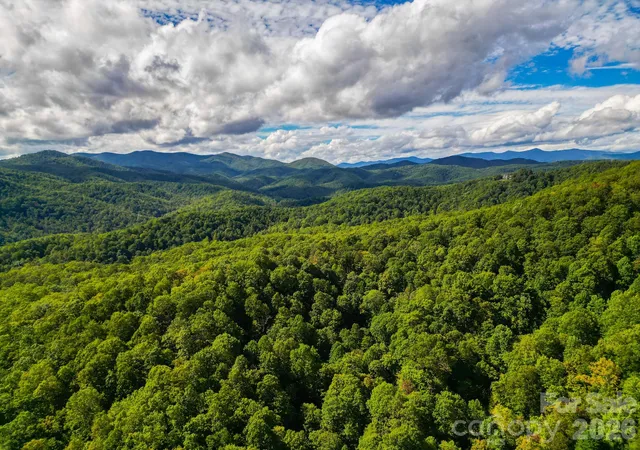 Photo 3 of Land for sale at 99999 Forest Brk Dr, Black Mountain, NC 28711 | MLS# 4308742 | Listing updated on 2026-09-18