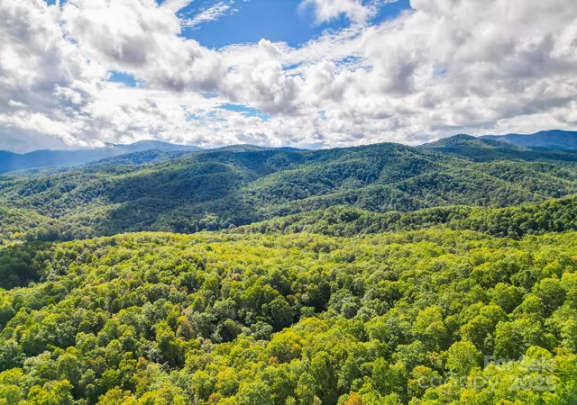 5th image of 99999 Brook Dr, Black Mountain, NC 28711 | MLS# 4308742