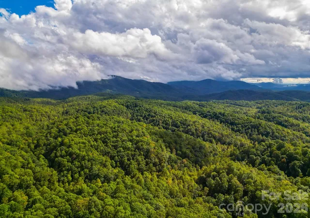Photo 4 of Land for sale at 99999 Forest Brk Dr, Black Mountain, NC 28711 | MLS# 4308742 | Listing updated on 2026-09-18