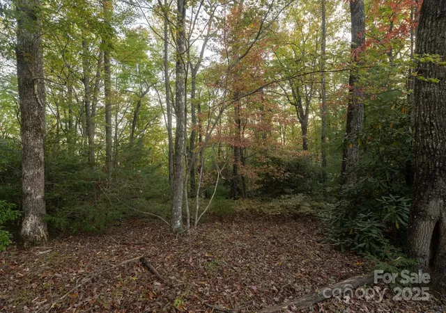 Photo 2 of Land for sale at Tbd Pine Mountain Trl #M8, Brevard, NC 28712 | MLS# 4308957 | Listing updated on 2025-10-10