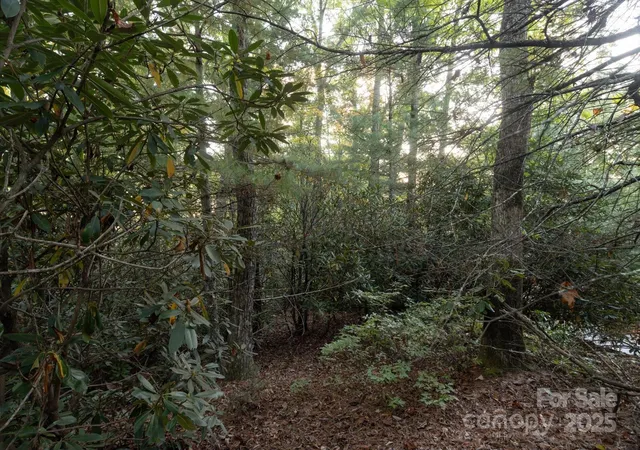 Photo 4 of Land for sale at Tbd Pine Mountain Trl #M8, Brevard, NC 28712 | MLS# 4308957 | Listing updated on 2025-10-10