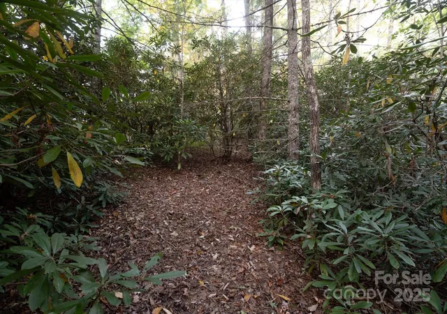 Photo 5 of Land for sale at Tbd Pine Mountain Trl #M8, Brevard, NC 28712 | MLS# 4308957 | Listing updated on 2025-10-10
