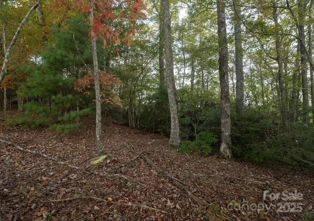 Photo 5 of Land for sale at Tbd Pine Mountain Trl #M9, Brevard, NC 28712 | MLS# 4308958 | Listing updated on 2026-08-06