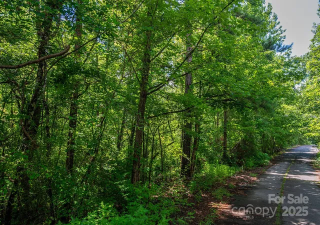 Photo 1 of Land for sale at Lot 31 Line Dr, Marion, NC | MLS# 4309153 | Listing updated on 2026-09-21