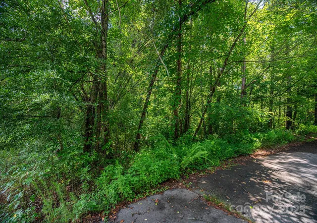 Photo 3 of Land for sale at Lot 31 Line Dr, Marion, NC | MLS# 4309153 | Listing updated on 2026-09-21