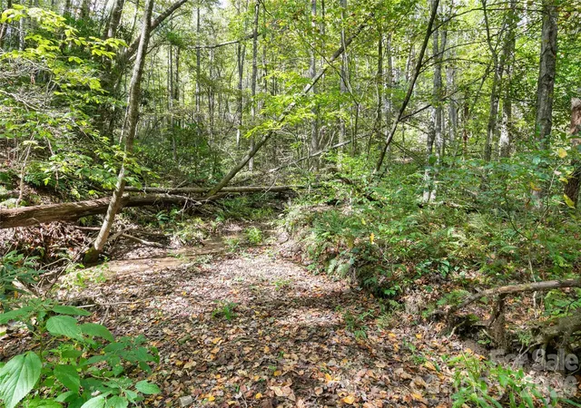 Photo 3 of Land for sale at 14 Johnny Farm Rd, Black Mountain, NC 28711 | MLS# 4309200 | Listing updated on 2026-08-31