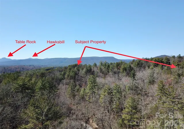 Land for sale at 2500 Playmore Beach Rd, Lenoir, NC 28645 | MLS# 4309224
