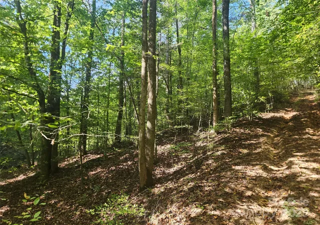 Homes for sale in Lenoir, NC | 2500 Playmore Beach Rd, Lenoir, NC 28645 | MLS# 4309224