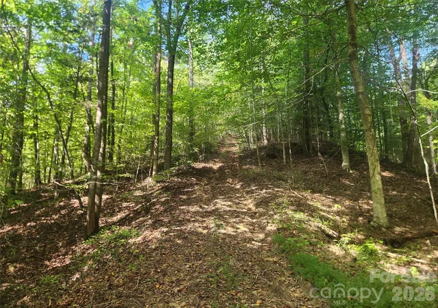 Photo 3 of Land for sale at 2500 Playmore Beach Rd, Lenoir, NC 28645 | MLS# 4309224 | Listing updated on 2026-10-06