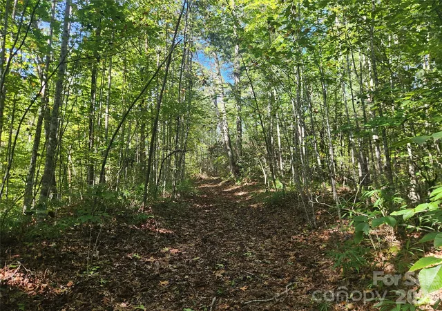Photo 4 of Land for sale at 2500 Playmore Beach Rd, Lenoir, NC 28645 | MLS# 4309224 | Listing updated on 2026-10-06