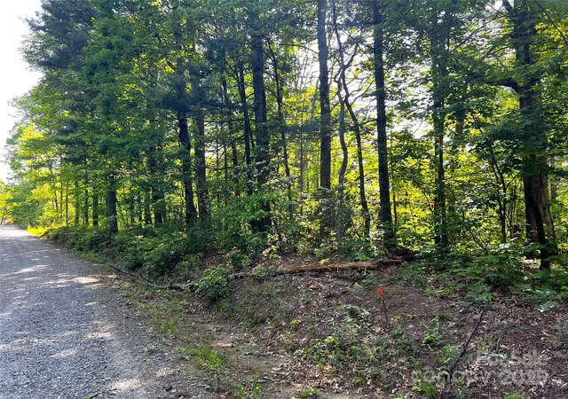 Photo 2 of Land for sale at Lot 16 Arrowhead Rdg #16R, Brevard, NC 28712 | MLS# 4309259 | Listing updated on 2025-10-28