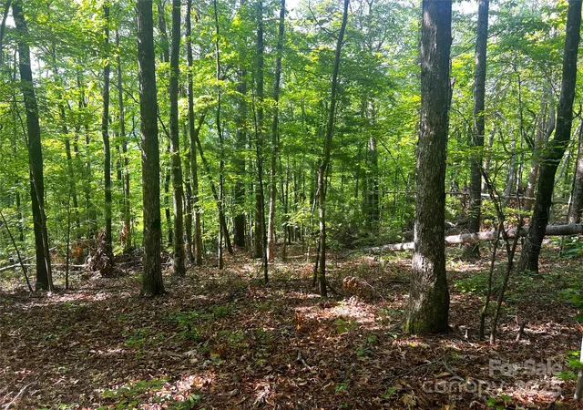 Photo 3 of Land for sale at Lot 16 Arrowhead Rdg #16R, Brevard, NC 28712 | MLS# 4309259 | Listing updated on 2025-10-28
