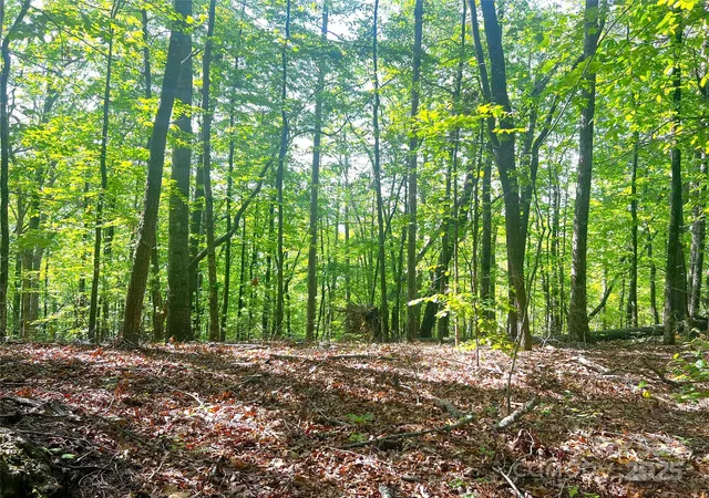 Photo 4 of Land for sale at Lot 16 Arrowhead Rdg #16R, Brevard, NC 28712 | MLS# 4309259 | Listing updated on 2025-10-28