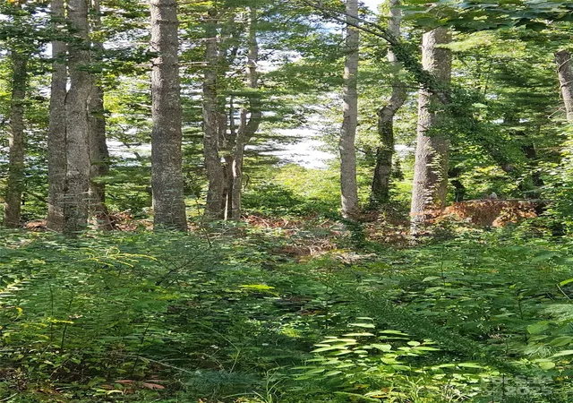 Photo 2 of Land for sale at 00 Bearwallow Mountain Dr #191, Hendersonville, NC 28792 | MLS# 4309319 | Listing updated on 2026-09-16