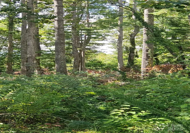 Photo 3 of Land for sale at 00 Bearwallow Mountain Dr #191, Hendersonville, NC 28792 | MLS# 4309319 | Listing updated on 2026-09-16