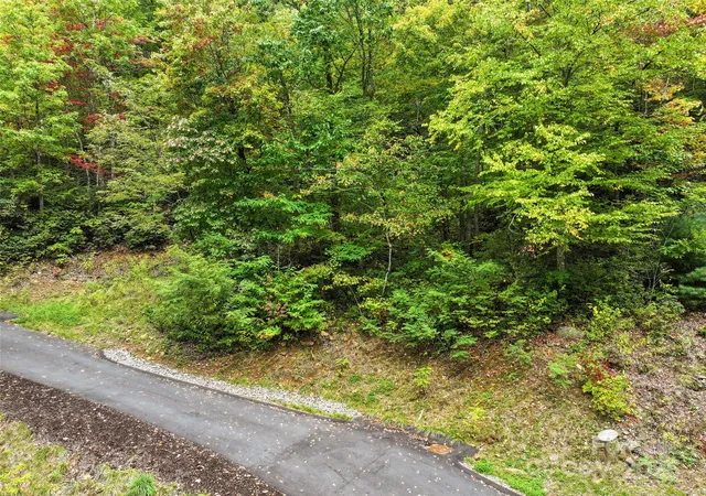 Photo 3 of Land for sale at 621 Macallan Dr #320, Waynesville, NC 28786 | MLS# 4309342 | Listing updated on 2026-09-24