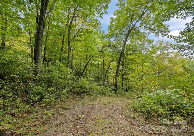 Photo 4 of Land for sale at 621 Macallan Dr #320, Waynesville, NC 28786 | MLS# 4309342 | Listing updated on 2026-09-24