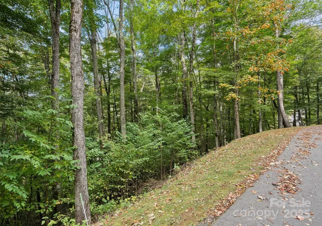 2nd image of 0 Macallan Dr #16, Waynesville, NC 28786 | MLS# 4309413