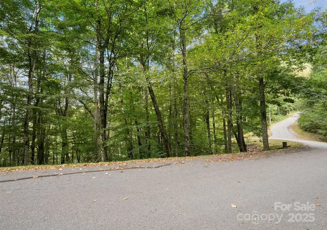 3rd image of 0 Macallan Dr #16, Waynesville, NC 28786 | MLS# 4309413