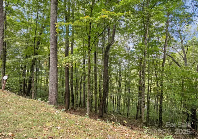 4th image of 0 Macallan Dr #16, Waynesville, NC 28786 | MLS# 4309413
