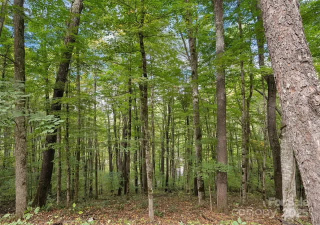 5th image of 0 Macallan Dr #16, Waynesville, NC 28786 | MLS# 4309413