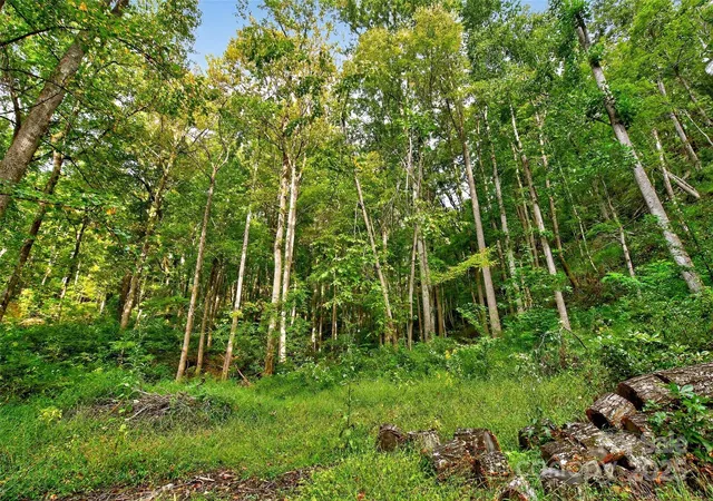 Photo 5 of Land for sale at 99999 Rocky Branch Trl, Marion, NC 28752 | MLS# 4310120 | Listing updated on 2026-09-05