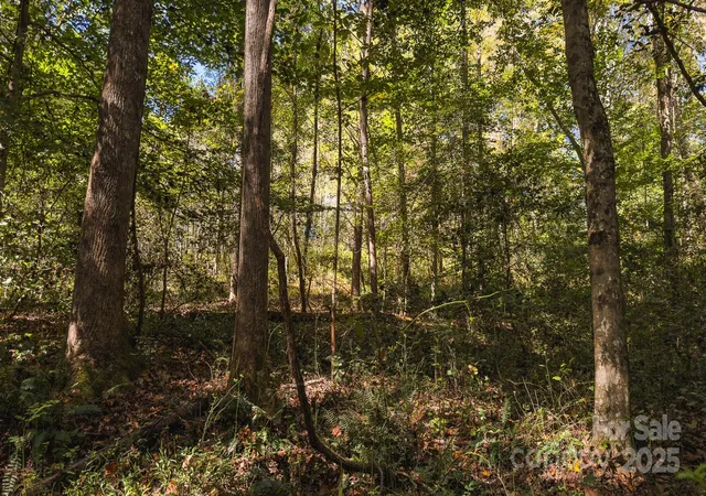 Photo 28 of Land for sale at 00 Shell Creek Rd, Ferguson, NC 28624 | MLS# 4310577 | Listing updated on 2025-10-10
