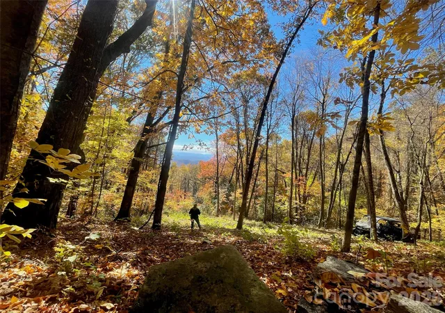 Land for sale at 00000 New Sprout Ln #1, Hendersonville, NC 28792 | MLS# 4310805