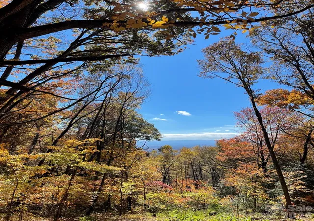 Photo 3 of Land for sale at 00000 New Sprout Ln #1, Hendersonville, NC 28792 | MLS# 4310805 | Listing updated on 2026-10-02