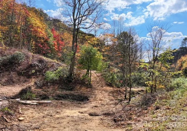 Photo 4 of Land for sale at 366 Renfro Rd, Greenmountain, NC 28740 | MLS# 4310842 | Listing updated on 2026-09-04