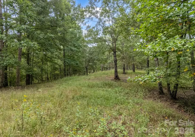 1st image of Tbd N Highland Farms Rd #6, Mill Spring, NC 28756 | MLS# 4310959